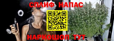гашик Можайск