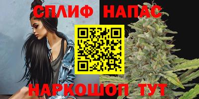 mdpv Моздок