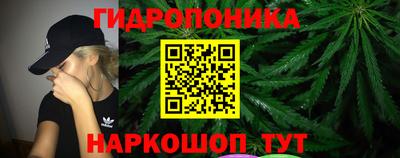 спиды Можга